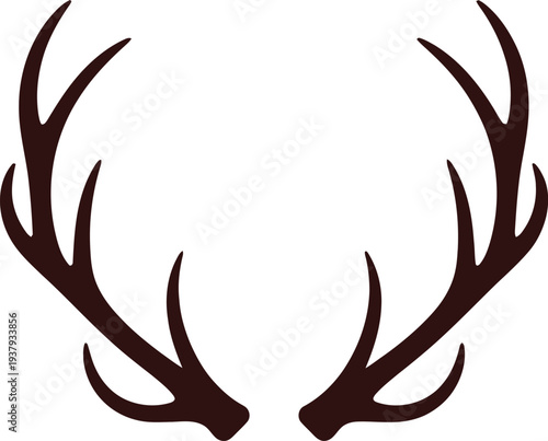Dark brown deer antlers on white background animal