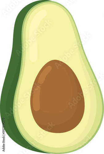 Half avocado isolated on white background. Illustration of green organic fruit