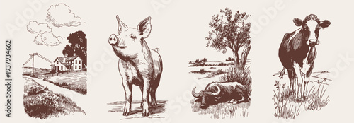 Vintage farm animals and countryside rustic collection set. Pig, cow and buffalo with rural houses. Banner for agriculture identity. Vector crayon drawn sketch style.