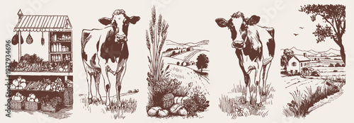 Countryside farm cow wheat harvest rural illustration collection. Cattle, grain, shop stall and scenic fields. Banner for food packaging visuals. Rustic crayon pencil sketch drawing style.