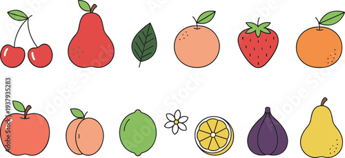 Minimal line art vector illustration of assorted fruits and floral elements showcasing colorful natural diversity and playful design style