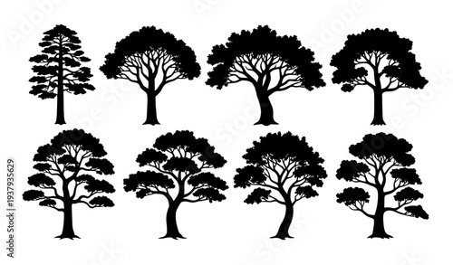 Set of Oak Tree Silhouettes with Various Natural Forest Tree Forms