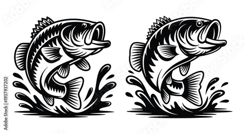 Largemouth Bass Jumping Water Splash Vector Illustration, Largemouth Bass Leaping Water Splash, Outline Styles, Black White Freshwater Sport Fish