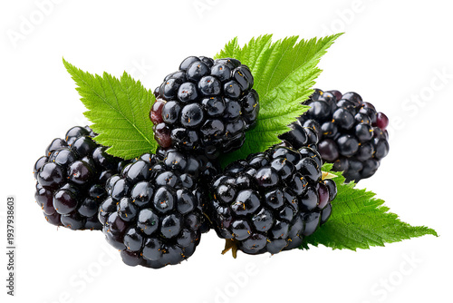 Fresh blackberries with green leaves isolated on white background