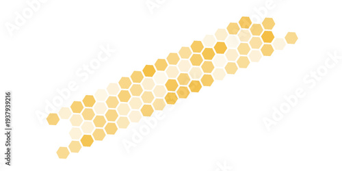 Honeycomb / hexagons. vector background