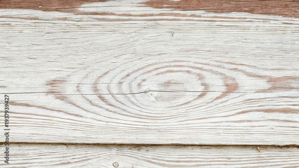 Fototapeta premium Weathered white painted pine wood texture with knot 
