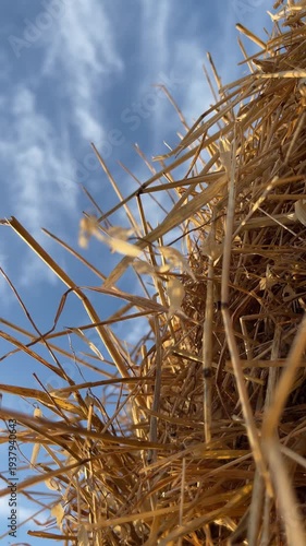Low angle view of a haystack against blue sky, capturing dry straw texture and rural summer atmosphere in natural daylight.