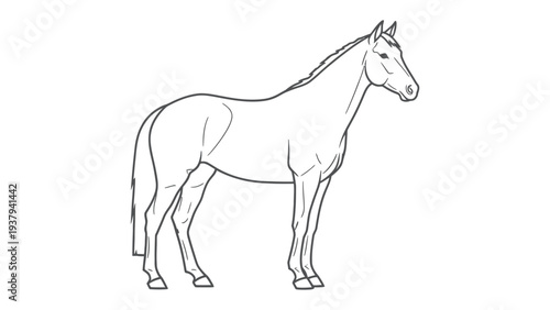 Elegant Horse Silhouette: A detailed outline of a majestic horse, its form beautifully rendered in stark contrast, embodying strength and grace.