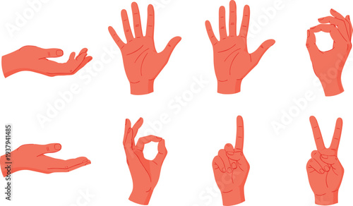 Hand Gesture Illustration Set with Holding Palm, Open Hand, OK Sign, Pointing Finger, and Victory V Sign Icons in Red Tone