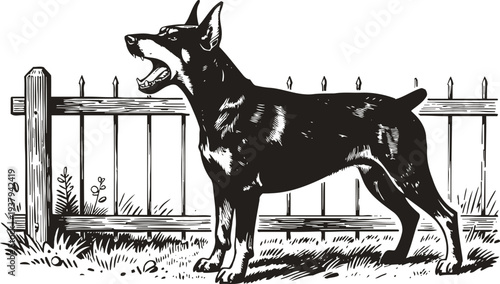 Black doberman dog barking aggressively in front of metal fence in detailed monochrome vintage