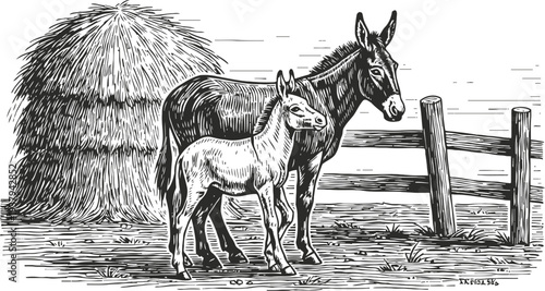 Mother donkey with foal standing near wooden fence and haystack in rural landscape