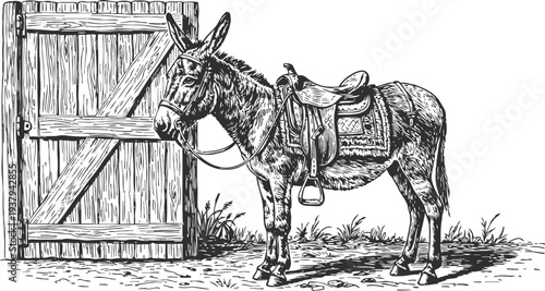 Donkey with saddle standing near a wooden barn door in countryside farm scene, vintage sketch