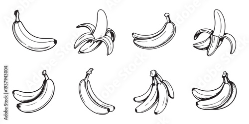 Banana fruit sketches showing single peeled and bunch variations in hand drawn vintage woodcut style set