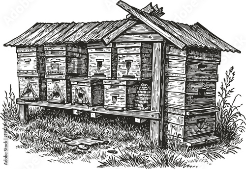 Traditional wooden beehive shelter with multiple bee boxes and slanted roof in rural grass setting