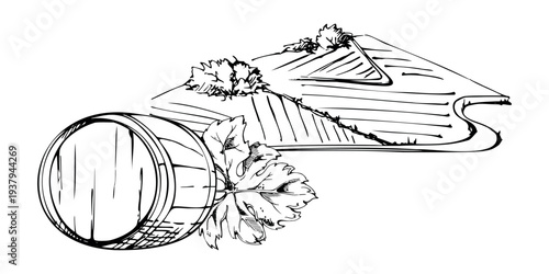 Agricultural landscape with rolling fields and distant hills, distillery barrel cask and leaf closeup. Clean ink vector illustration hand drawn for travel brochures, branding assets, educational use.