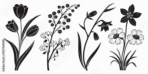 A collection of various flowers and plants in black and white line art style Vector