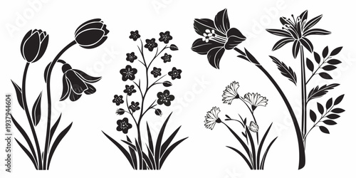 A delightful illustration of various flowers in a charming and whimsical style Vector