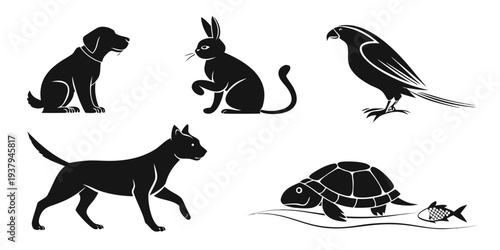 A diverse collection of animals including cats, a bird, and a turtle. Vector