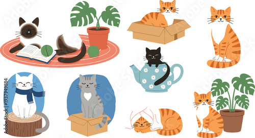 Cute Cats Daily Life Cartoon Set with Playing, Sleeping, Sitting in Box and Cup, Adorable Domestic Pet Illustration Collection