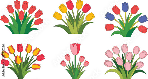 Tulip bouquet illustration set featuring six colorful arrangements with varied flower counts and hues, perfect for floral design, education, decorative, and creative projects