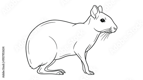 Rodent Outline: A detailed black and white illustration of a rodent.