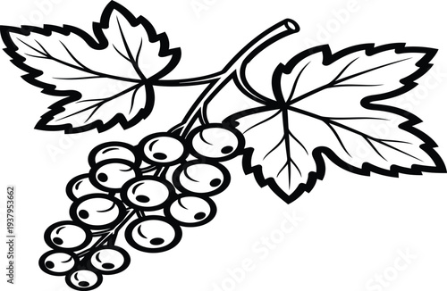 A black and white drawing of a bunch of grapes with leaves
