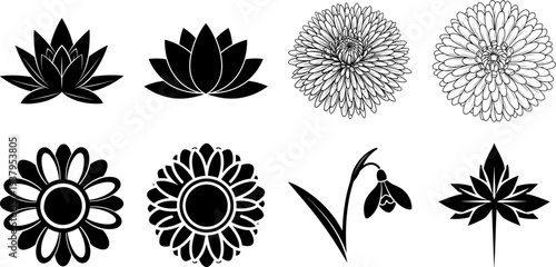 Collection of various flower silhouettes and illustrations on white background