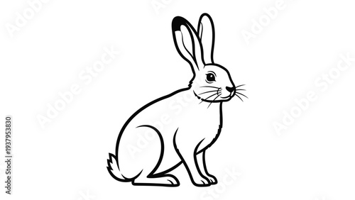 Hare Line Art: An elegant and streamlined black and white illustration of a hare, with its long ears and keen eyes, set against a pristine backdrop, a symbol of agility and grace.