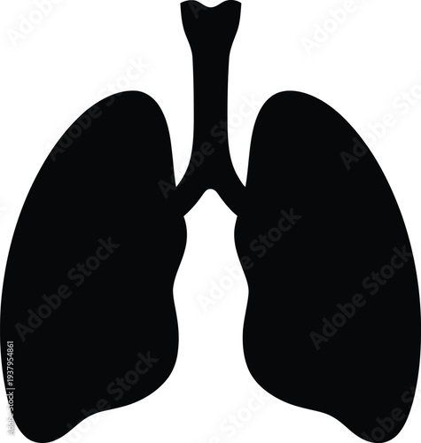 Black silhouette of human lungs on white background