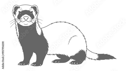 Cute Ferret Illustration: A detailed monochrome illustration of a ferret, showcasing its sleek form and unique markings, capturing the essence of this playful creature.