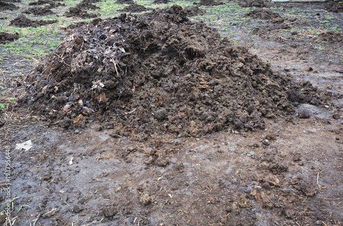 pile of natural manure for organic farming