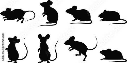 Set of black mouse silhouettes in various poses including standing sitting and running isolated on white background for vector illustration and graphic design