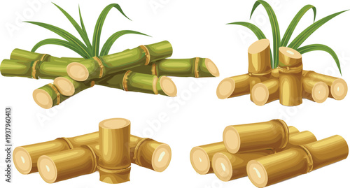 Sugarcane stalk pieces and bundles with green leaves, fresh tropical agriculture crop illustration isolated organic food vector set
