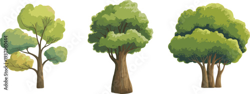 Set of realistic green forest trees with dense foliage for landscape design elements collection, cad drawing flat vector illustration