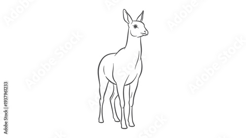 Deer Line Art: A delicate line drawing of a graceful deer, its slender form and gentle features brought to life in simple, elegant strokes.