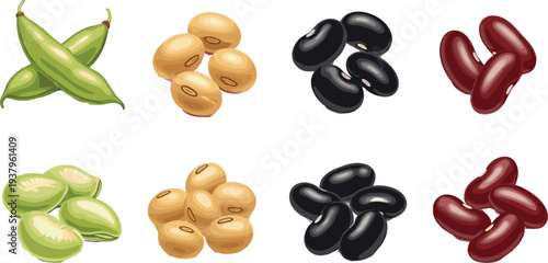 Assorted beans and legumes collection with soybeans, black beans, kidney beans and edamame vector illustration set