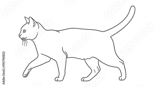 Elegant feline silhouette: A graceful outline of a cat, perfectly capturing its poise and refined nature.