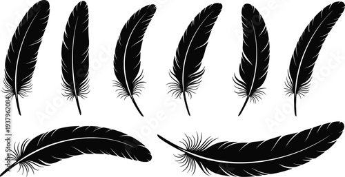 Black feather silhouettes collection with different bird feathers, decorative flying feather shapes isolated vector illustration set