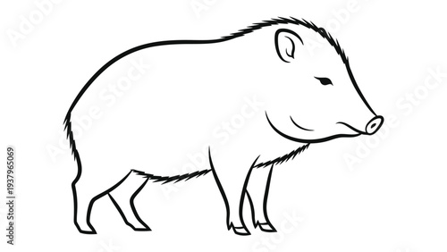 Collared Peccary Silhouette: A simple monochrome outline of a collared peccary, showcasing its distinctive features in a clean, minimalist style.