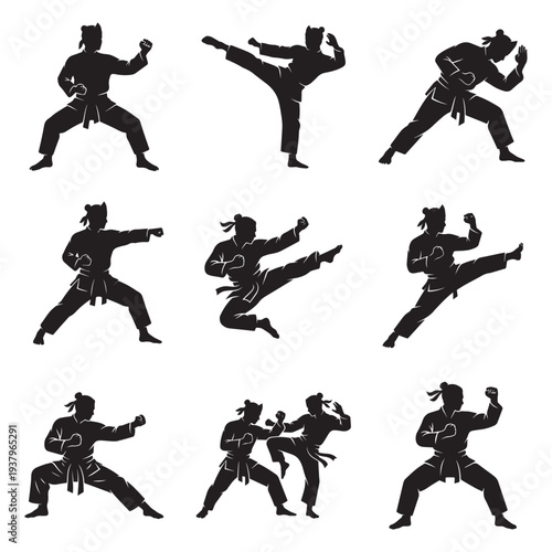Martial arts silat fighter silhouettes set in various combat stances for sports design.