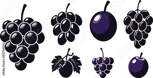 

 a bunch of fresh purple grapes Vector set of and also ripe black olives set with leaves and on a grapevine branch for vineyard harvest food illustration