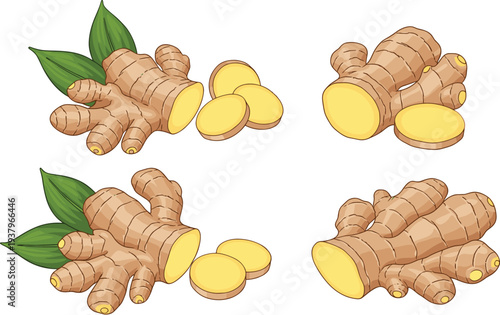 Fresh ginger root with sliced ginger pieces and leaves, aromatic spice ingredient illustration isolated food vector set