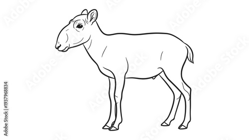 Saiga Antelope Drawing: A minimalist illustration showcases a saiga antelope, a critically endangered species, captured in a clean line drawing, highlighting its unique appearance.