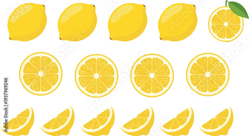 Lemon fruit whole, slices and wedges collection, fresh yellow citrus fruit illustration isolated food vector set