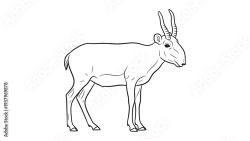 Saiga Antelope: An illustration of a saiga antelope, a unique creature, with its distinctive overhanging nose, showcasing its slender build and elegant horns.