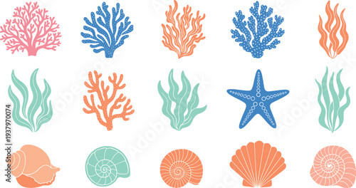 Marine ocean elements collection with coral, seaweed, starfish and shells, colorful underwater nature icons vector illustration set