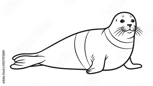 Ink Seal Illustration: A serene, single seal illustrated with clean lines and a minimalist style, presenting a classic depiction of this marine mammal.
