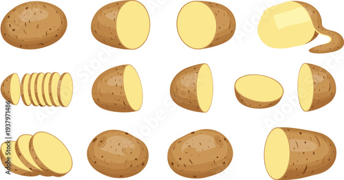 Potato whole, sliced and peeled pieces collection, fresh raw vegetable ingredient illustration isolated food vector set