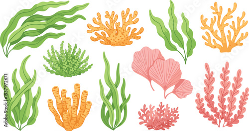 Underwater Coral Reef and Marine Flora Set Featuring Green Seaweed Orange Coral and Pink Sea Fans