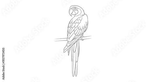 Parrot on Branch: An intricate sketch unveils a parrot perched gracefully on a branch, showcasing the elegance of avian design with detail and artistry.